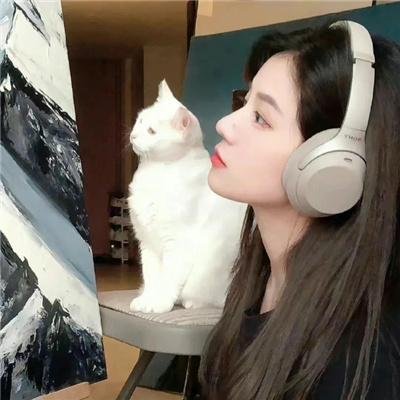 鸡飞狗跳小鹰到