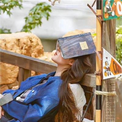 我的老板是小猪